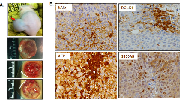 fig3