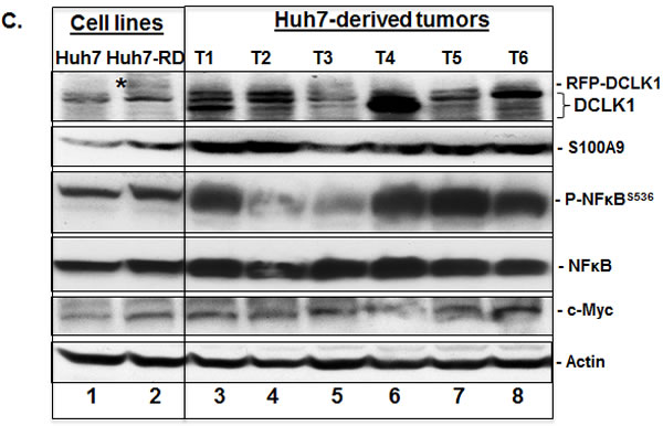 fig3a