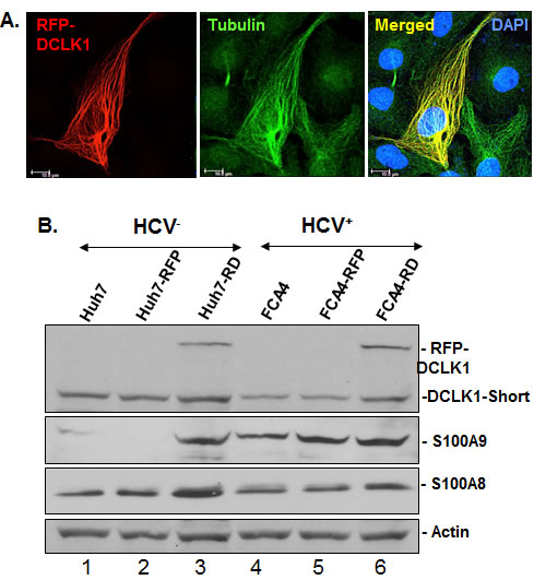 fig4