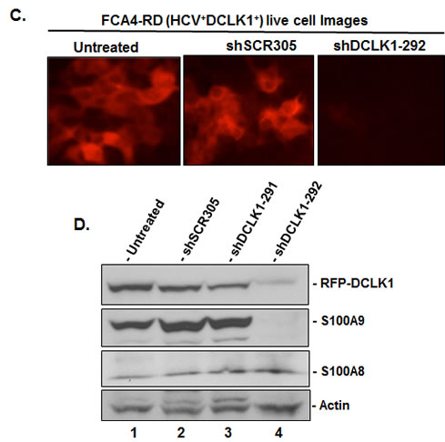 fig4a
