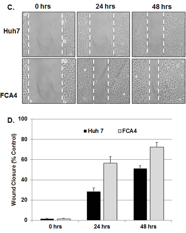 fig5a