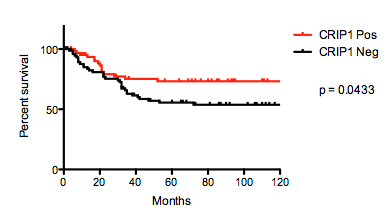 Figure2.png