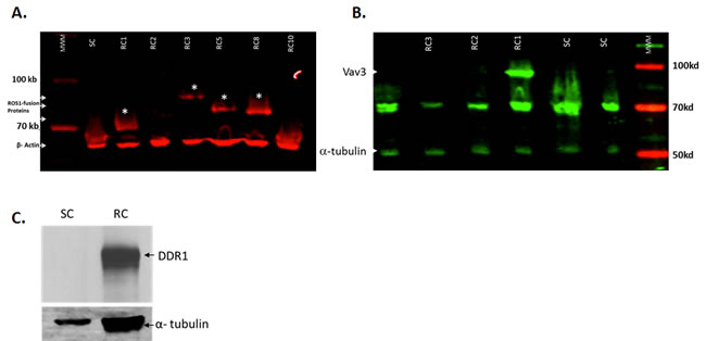 fig2