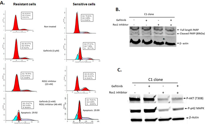 fig4