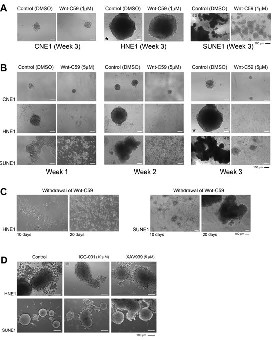fig3