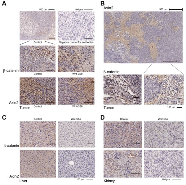 fig4