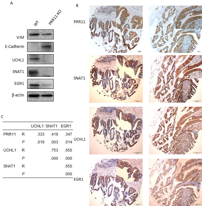 fig6