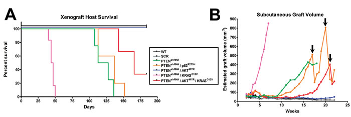 fig2