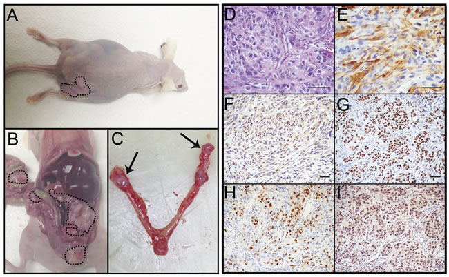 fig3