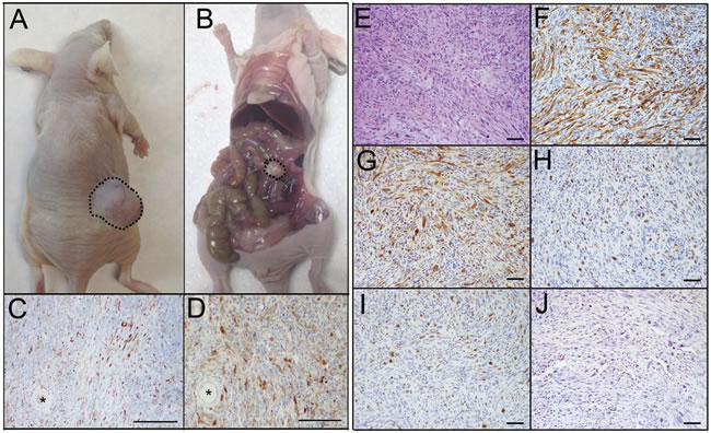 fig4