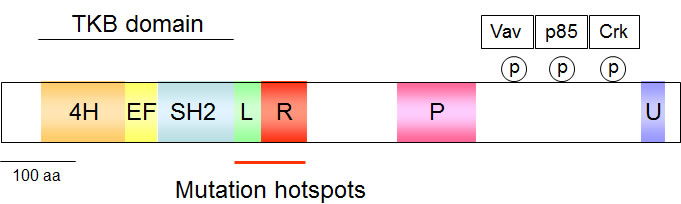 fig1