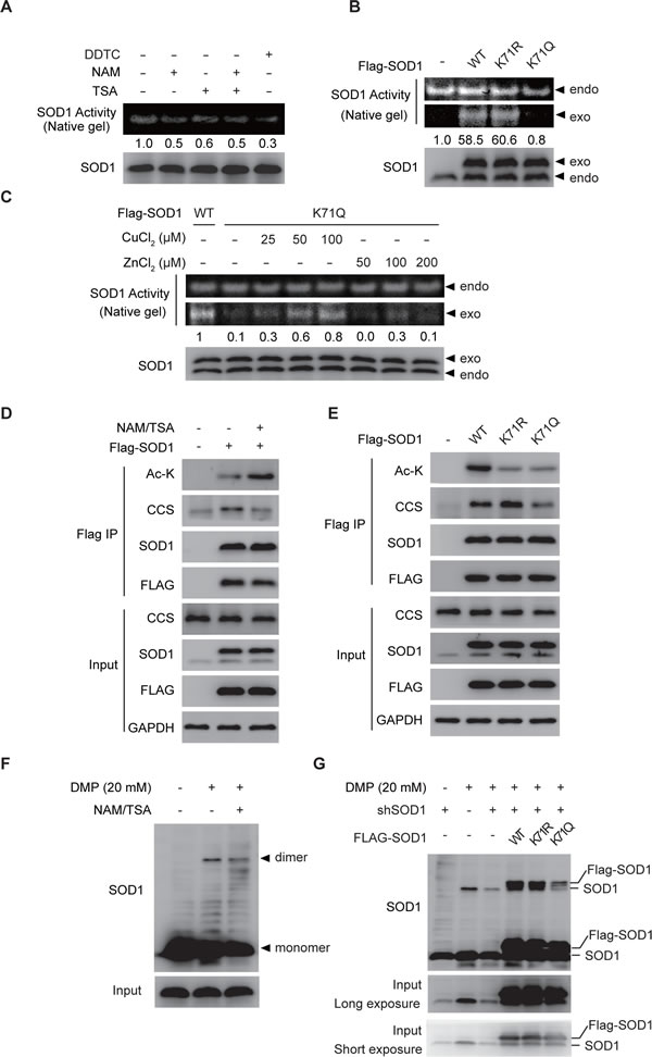 fig2