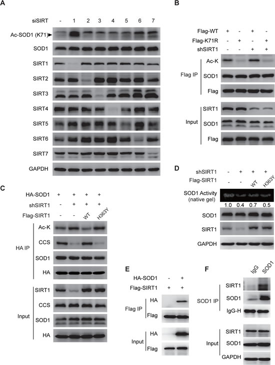 fig3