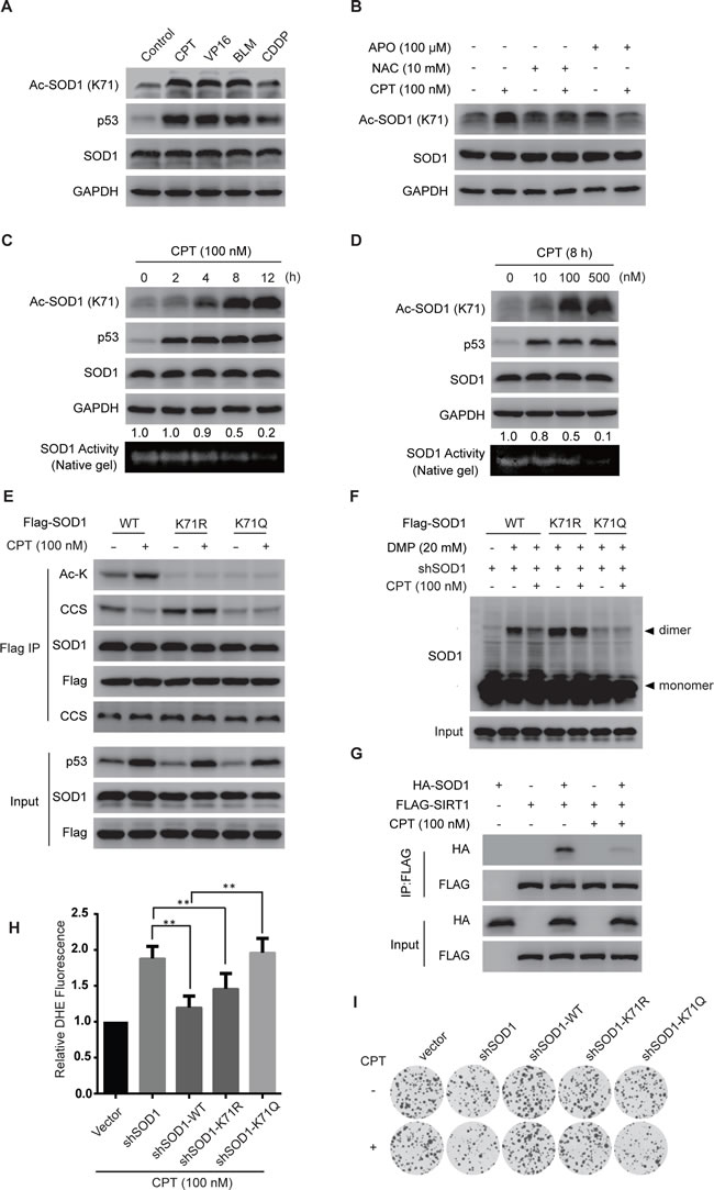 fig4