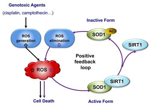 fig6