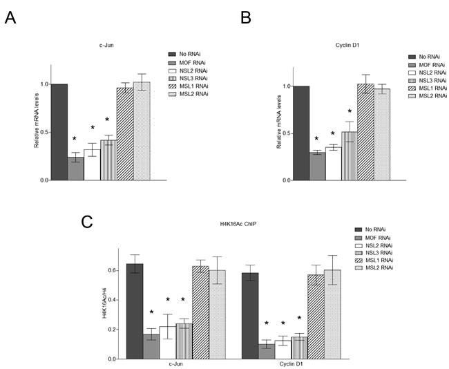 fig3