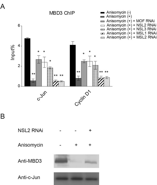 fig4