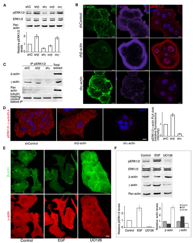 fig4
