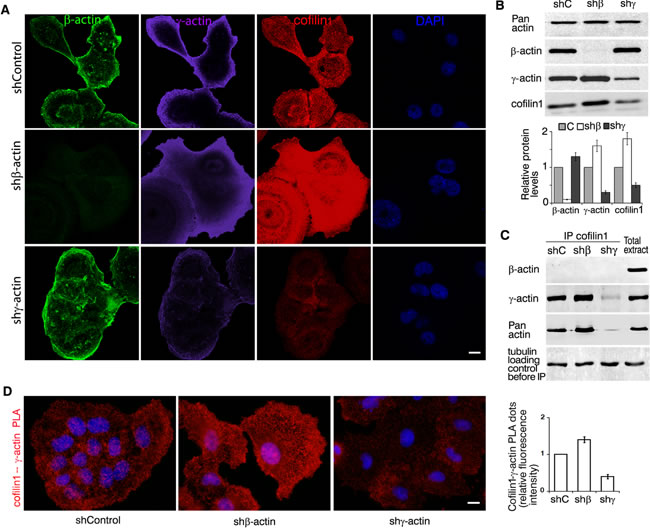 fig6
