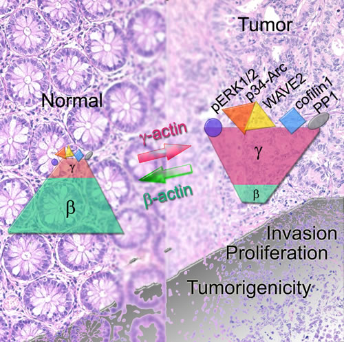 fig8