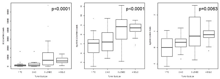 fig2