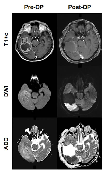 fig2