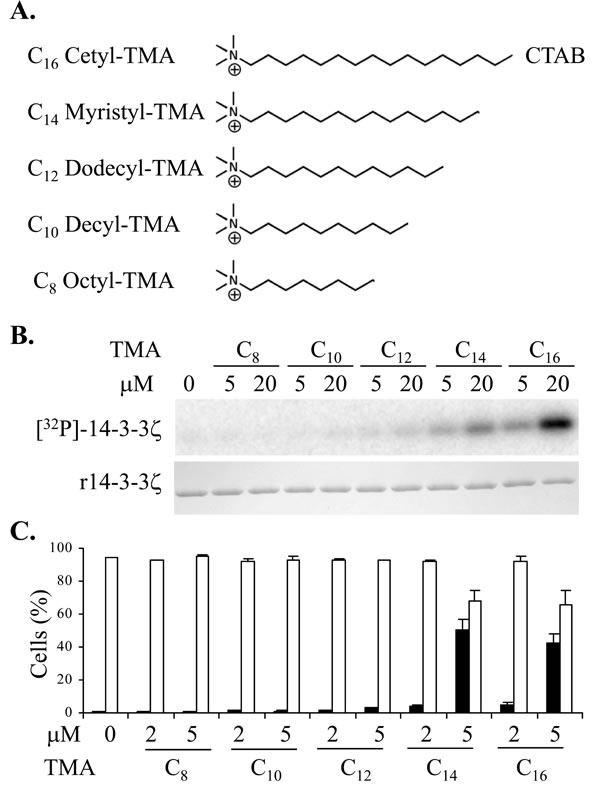 fig1