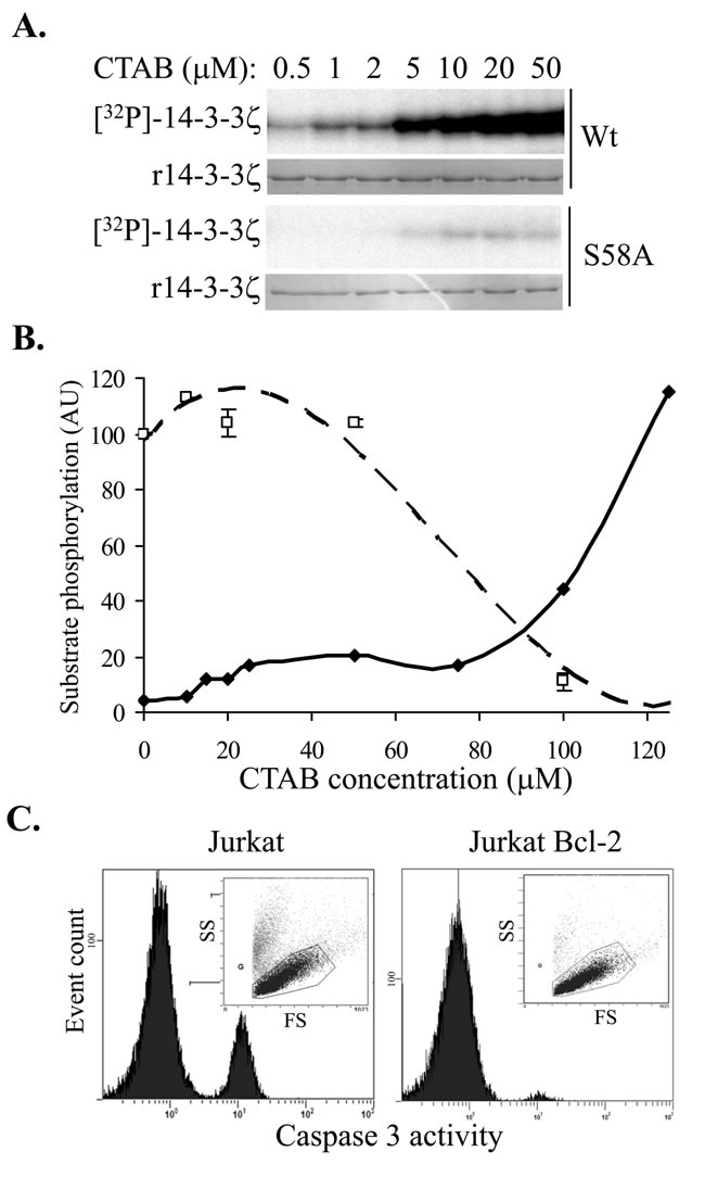 fig2