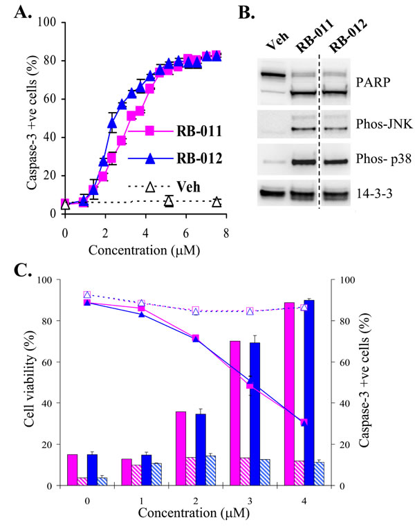 fig4