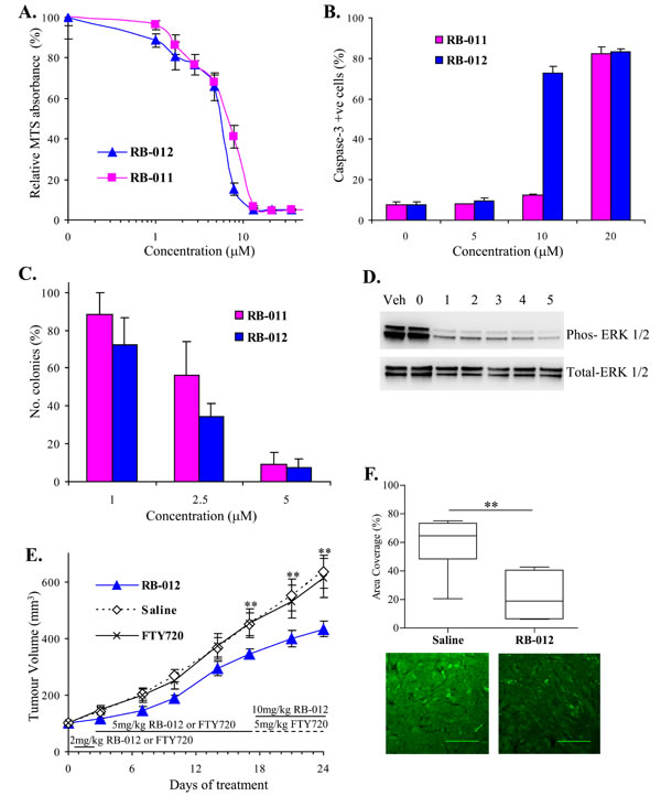 fig6