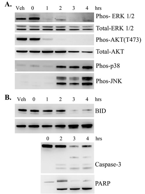 fig5