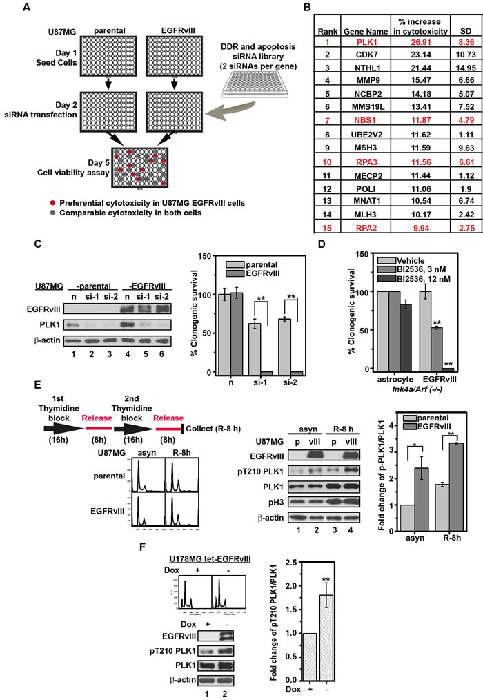 fig1