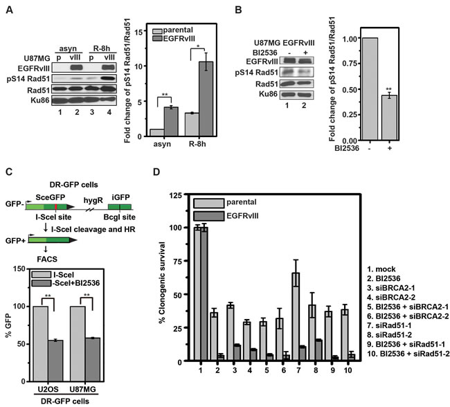 fig3