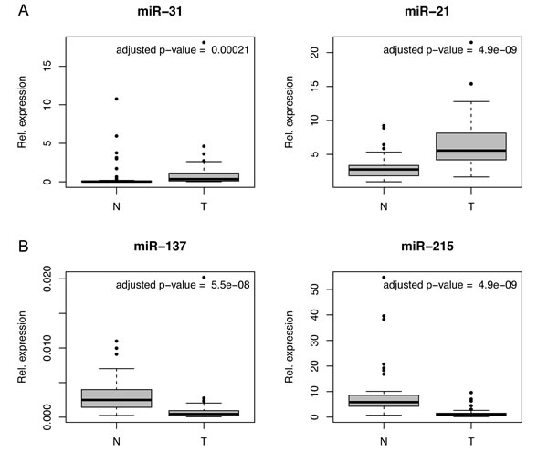fig2