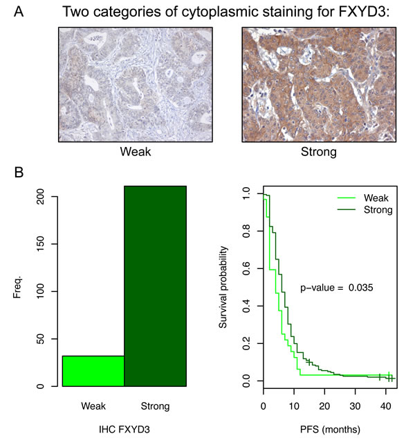 fig6
