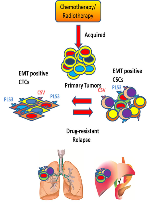 fig2