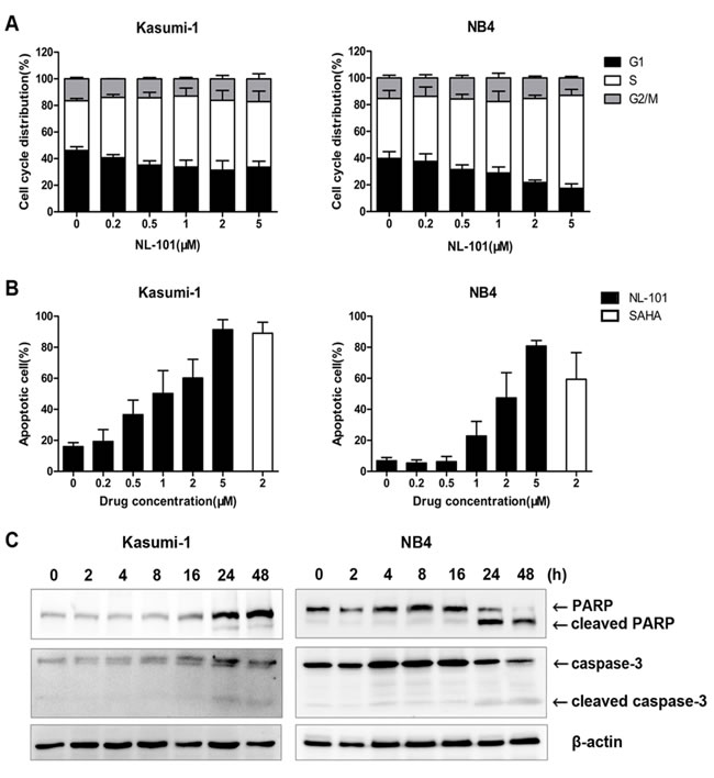 fig2