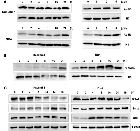 fig3