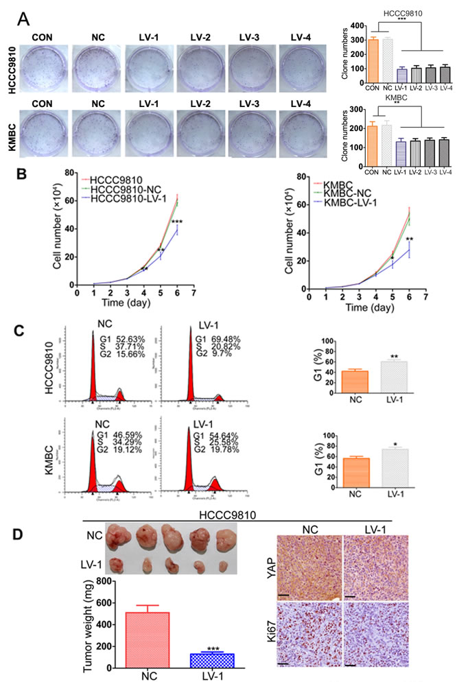 fig2