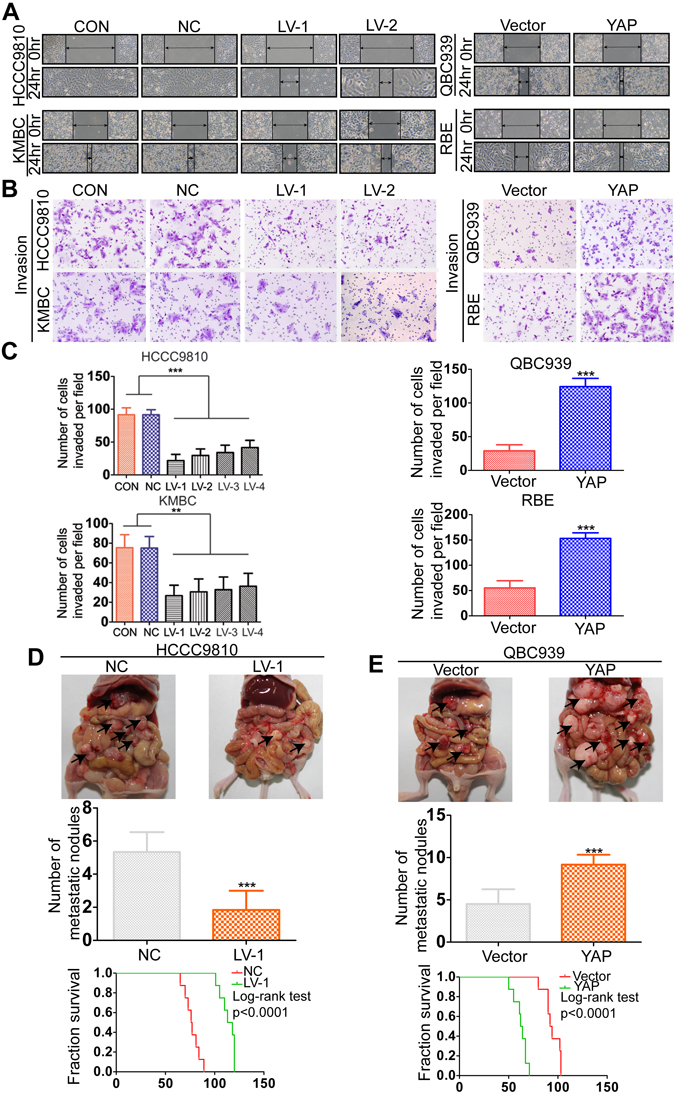 fig3