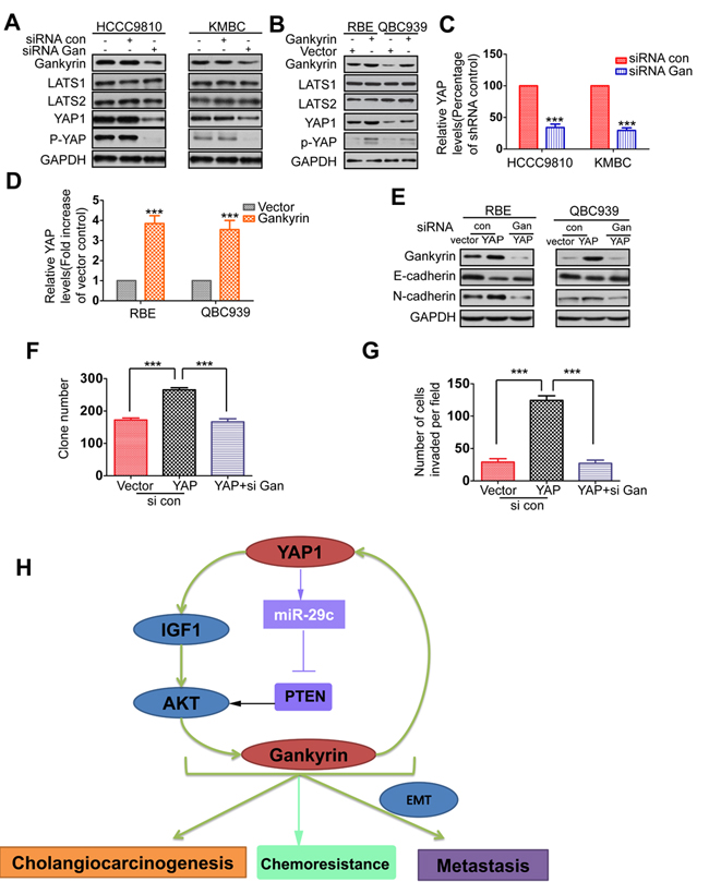 fig6