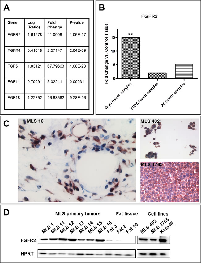 fig2