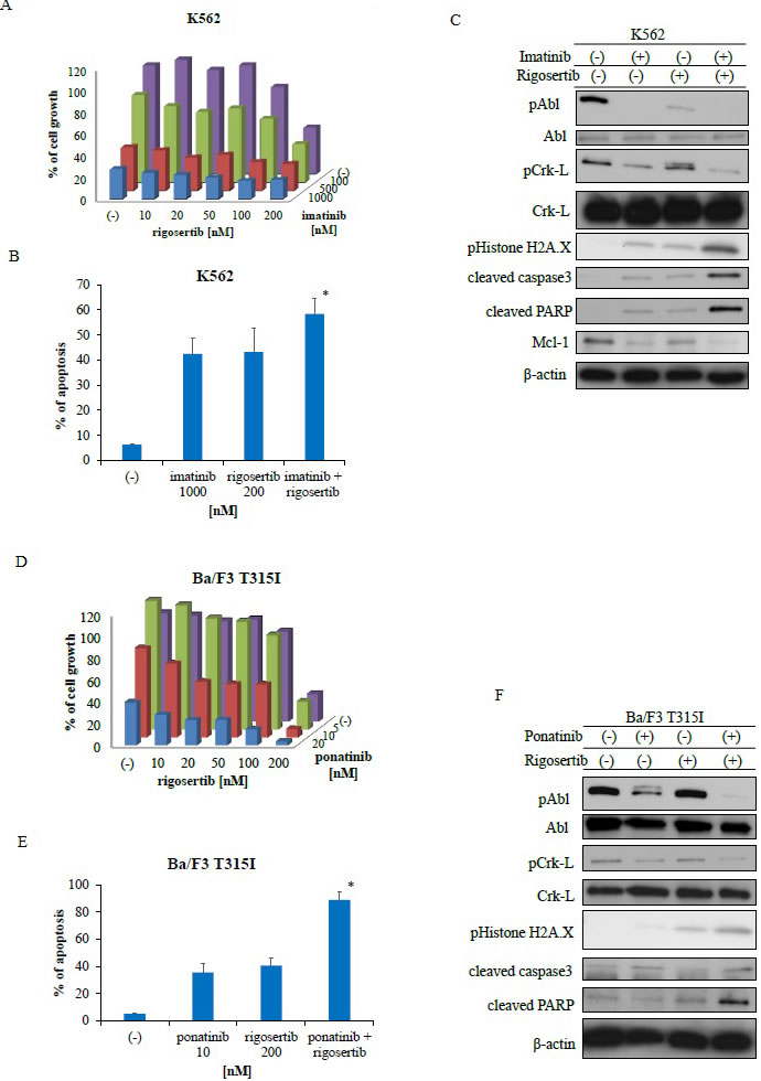 fig2