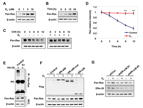 fig1