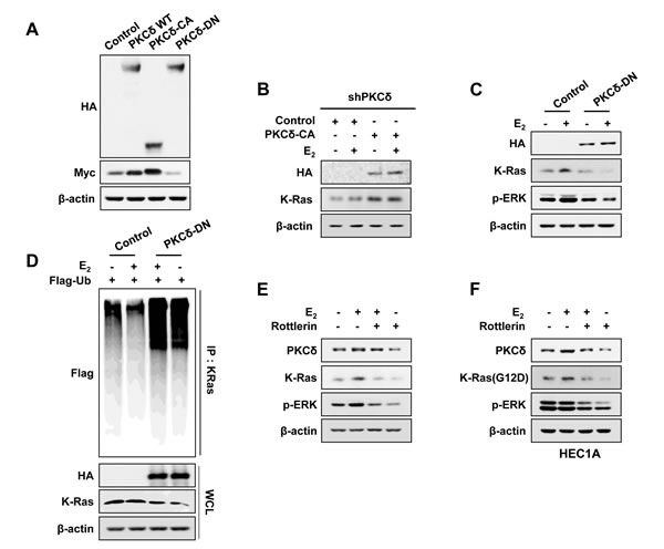 fig3