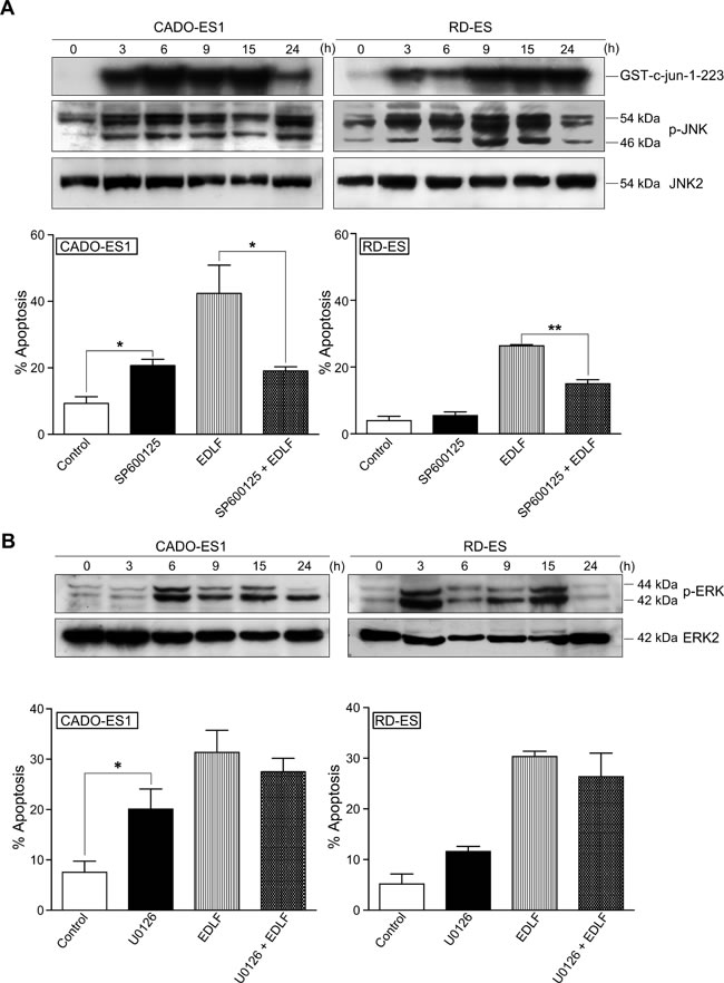fig6