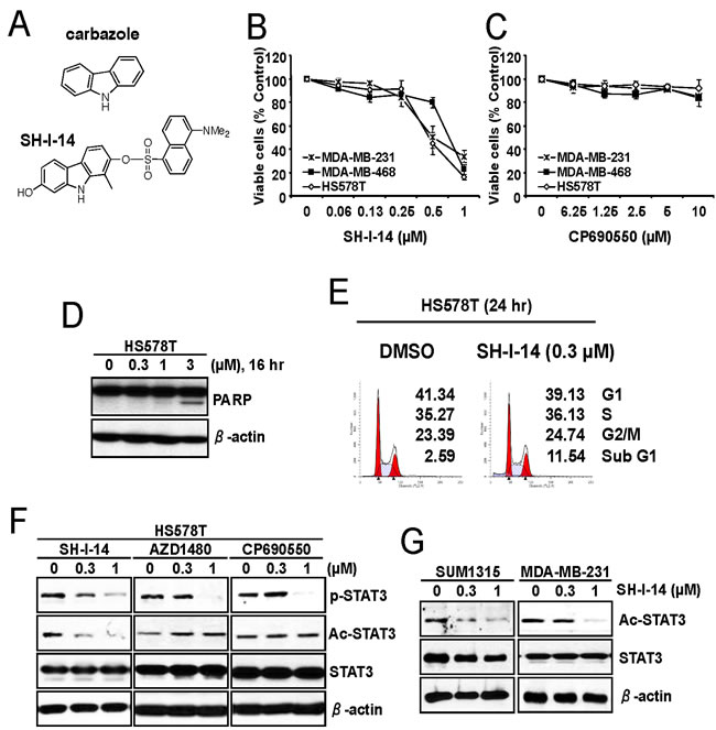 fig1