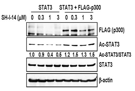 fig3