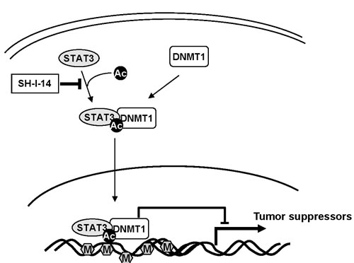 fig6