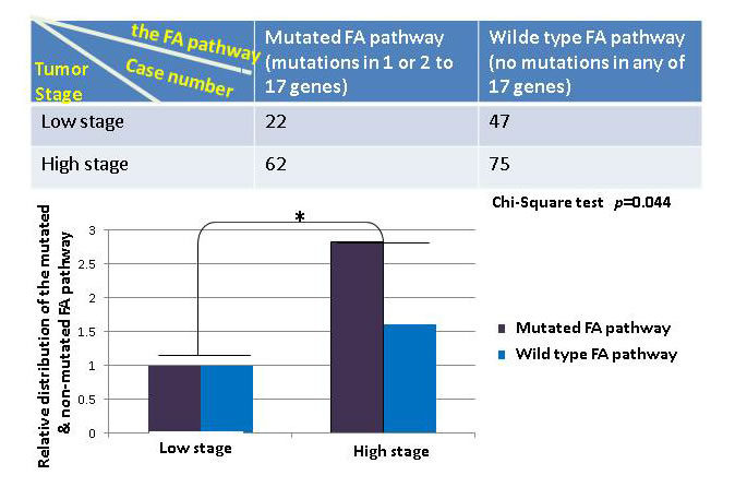 fig1